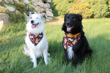 Load image into Gallery viewer, Free Spirit