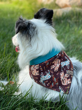 Load image into Gallery viewer, Free Spirit