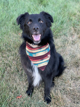 Load image into Gallery viewer, Eastwood