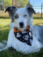 Load image into Gallery viewer, Past Present & Future with Mystical Cats