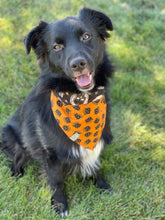 Load image into Gallery viewer, Past Present & Future with Mystical Cats