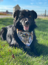 Load image into Gallery viewer, Wild Game