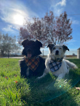 Load image into Gallery viewer, Wild Game