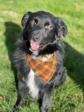 Load image into Gallery viewer, Wild Game