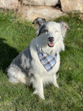 Load image into Gallery viewer, Wild Game