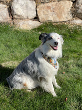 Load image into Gallery viewer, Wild Game