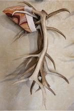 Load image into Gallery viewer, The Narrows