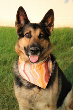 Load image into Gallery viewer, The Narrows